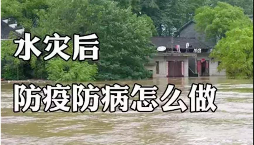 &#49;&#120;&#66;&#69;&#84;&#40;&#20013;&#22269;&#41;&#23448;&#26041;&#32593;&#31449;&#45;&#30331;&#24405;&#20837;&#21475;